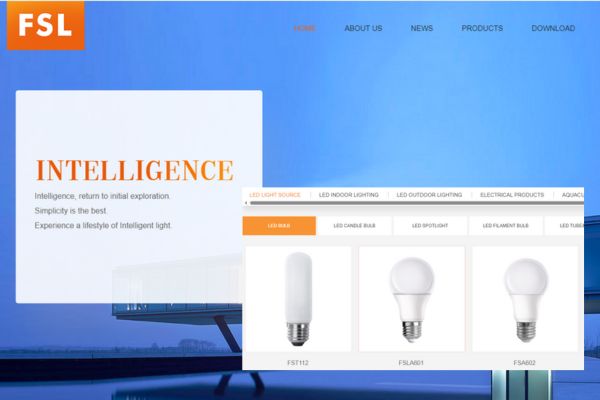 foshan electrical and lighting co