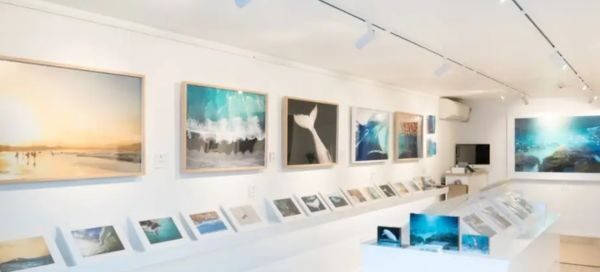 LED Track Lighting for Art Galleries