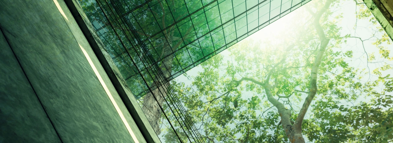 cURL Too many subrequests.