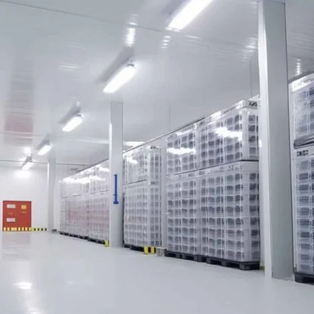 IP65 LED Batten for Cold Storage Warehouse application