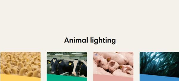 Hato Poultry lighting