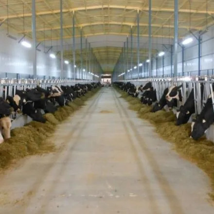 cURL Too many subrequests.