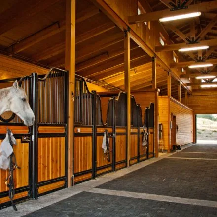 horse barn light