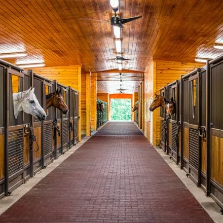 cURL Too many subrequests.