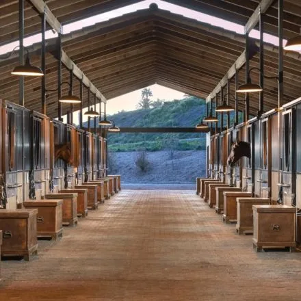 light fixtures for horse barns supplier