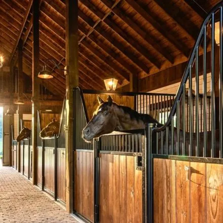 light fixtures for horse barns (1)