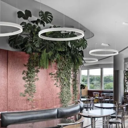 cURL Too many subrequests.