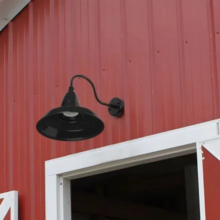 industrial gooseneck light